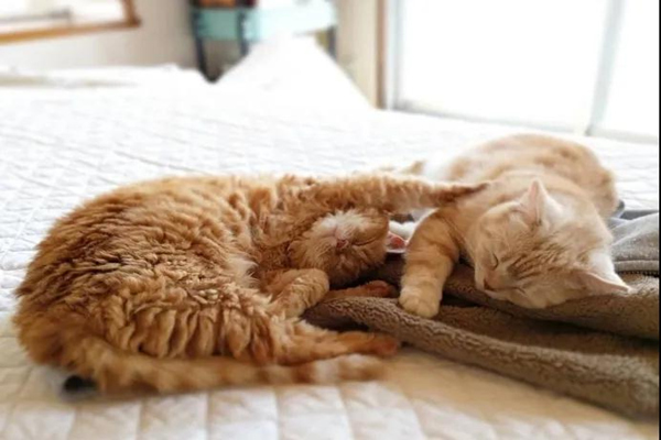 1619078392982258.jpg 微信圖片_20210422154704.jpg